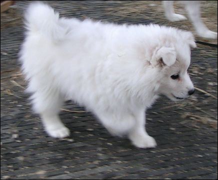 pict0088.jpg