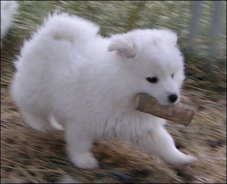 pict0091.jpg
