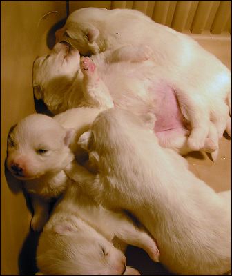 pict0033.jpg