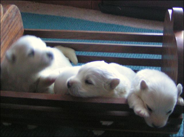 boys-1.jpg