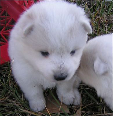 boy3.jpg