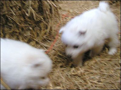 boys-4.jpg