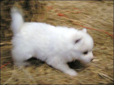 boys-8.jpg