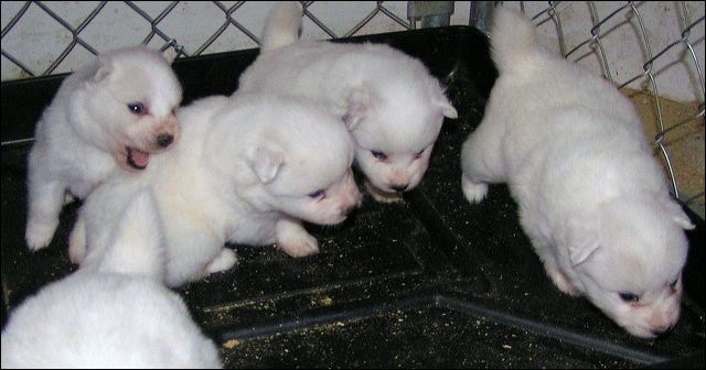 pict0001.jpg