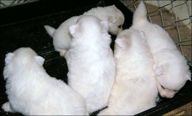 pict0002.jpg