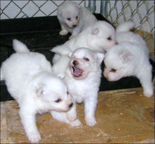 pict0006.jpg