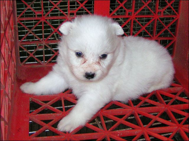 pict0043.jpg