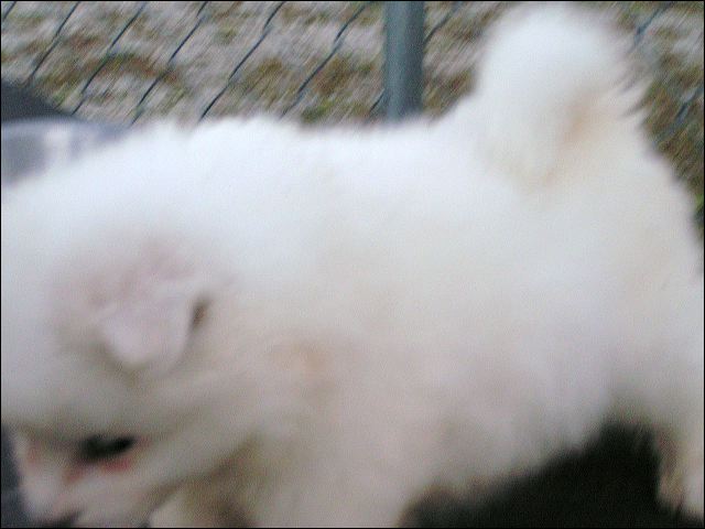 boy-2-~1.jpg