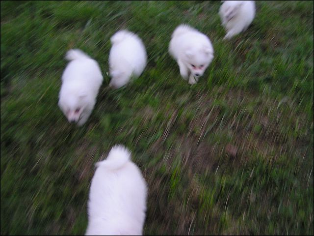 runnin~2.jpg