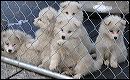 pict0068