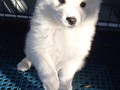 girls-2