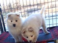girls-5