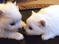 girl-boy-1