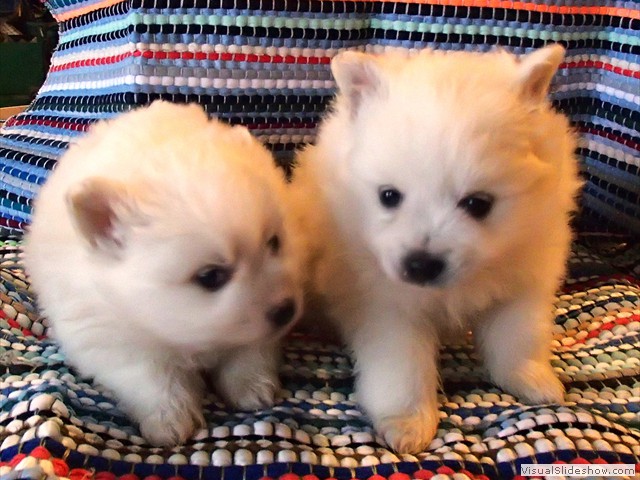 girl-boy-2