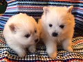 girl-boy-2