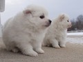 boy-girl-2