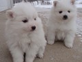 girl-boy-4