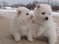 girl-boy-5