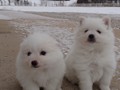 girl-boy-6