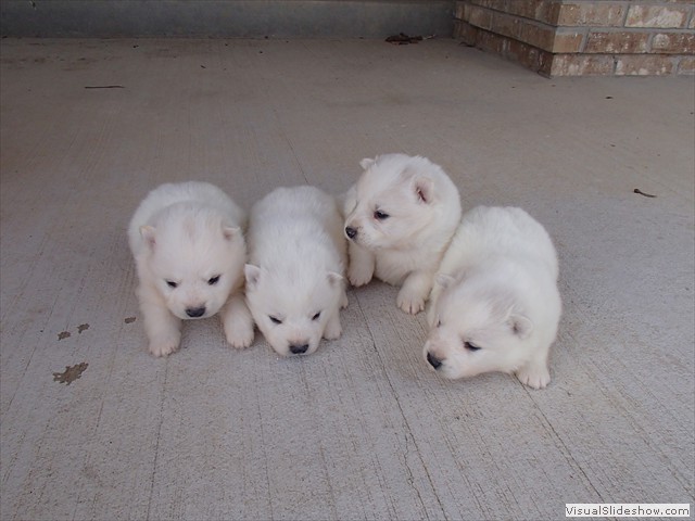 Ruby boys 2