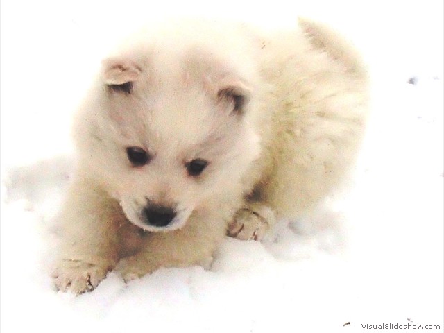 girls-3