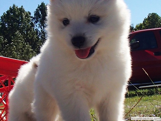 girls-8